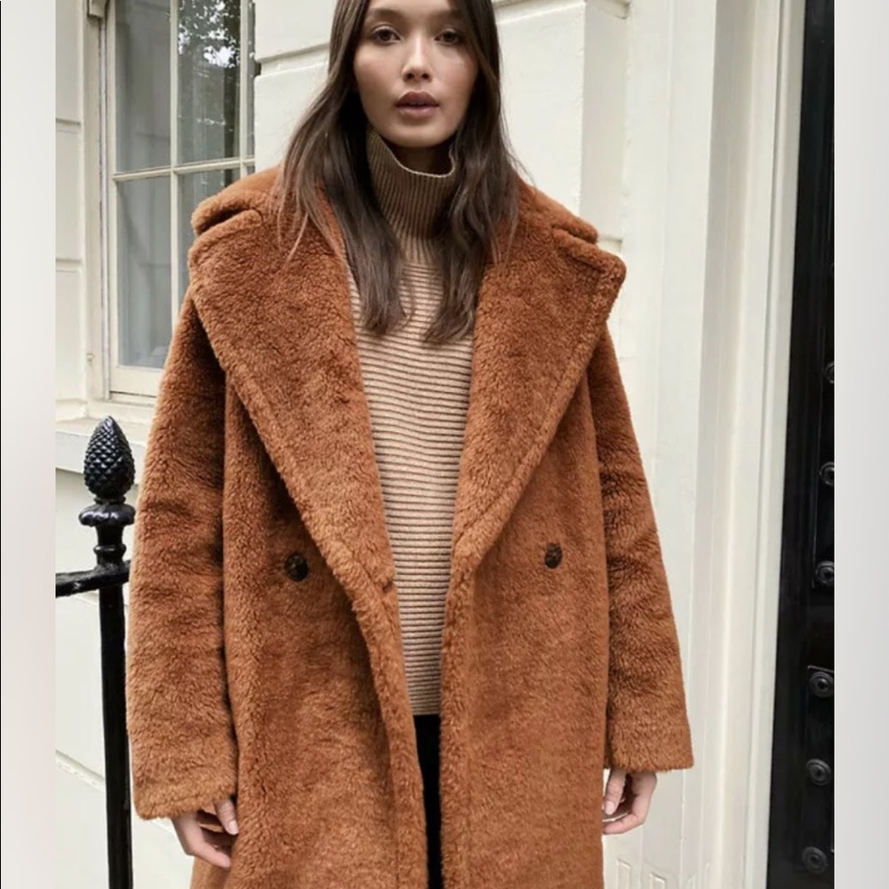 Aritzia Babaton The TEDDY COAT.